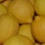 Limón