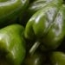 Pimiento morrón