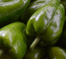 Pimiento morrón
