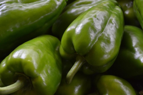 Pimiento morrón