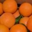Naranja Valencia Late