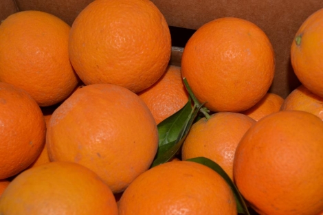 Naranja Valencia Late