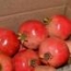 Granadas caja