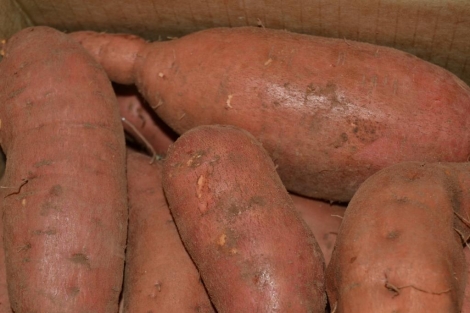 Boniatos caja