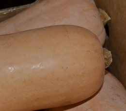 Calabazas