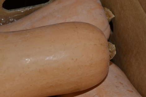 Calabazas