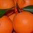 Naranjas navelinas