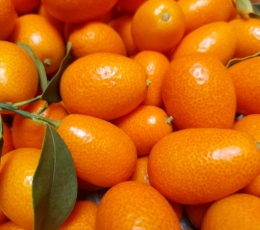 Kumquats caja