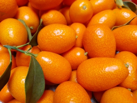 Kumquats caja