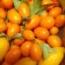 Caja Kumquat